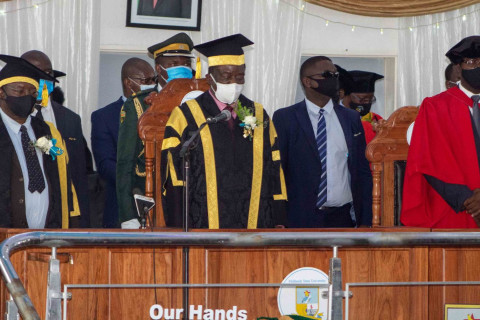 web grad