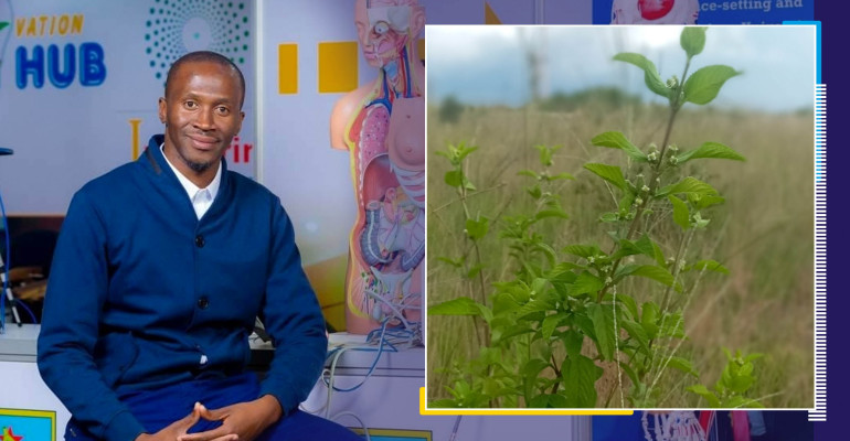 bhebhe zumbani story