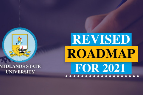 REVISED ROADMAP FOR 2021