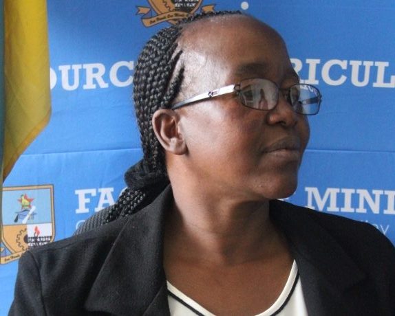 Dr Tariro Ndawana